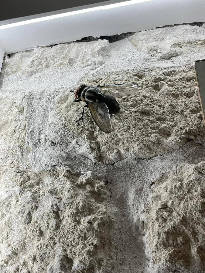 I Bastioni Apartment Palermo Bagian luar foto